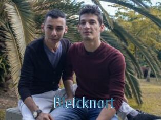 Bleicknort