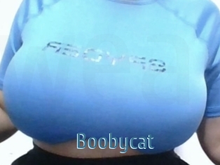 Boobycat