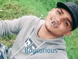 Boycurious