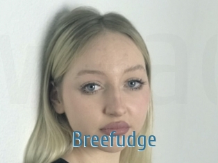 Breefudge