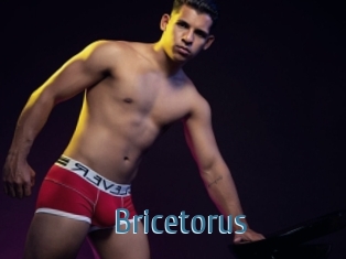 Bricetorus