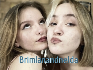 Brimlanandnelda