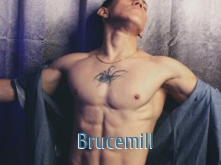 Brucemill