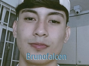 Brunofalcon