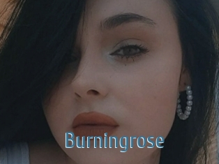 Burningrose