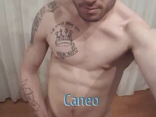 Caneo