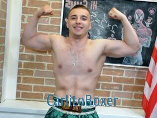 CarlitoBoxer