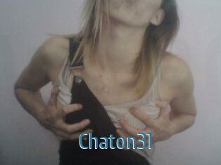 Chaton31
