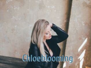 Chloeblooming