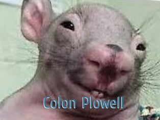 Colon_Plowell