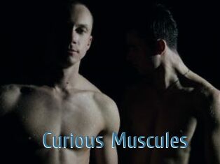 Curious_Muscules