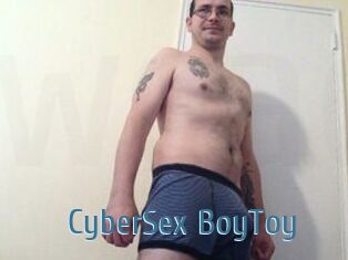 CyberSex_BoyToy