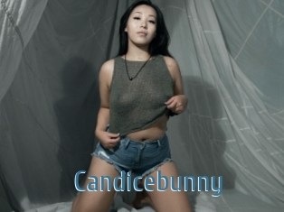 Candicebunny