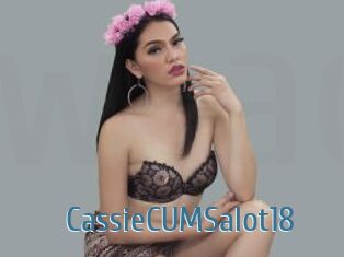 CassieCUMSalot18