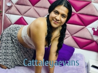 Cattaleyaevans