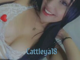 Cattleya18