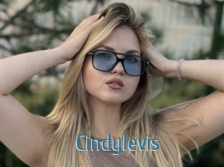 Cindylevis