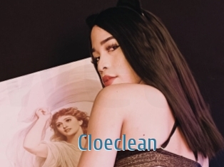 Cloeclean