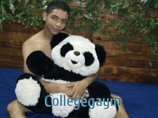 collegegaym Web adult links