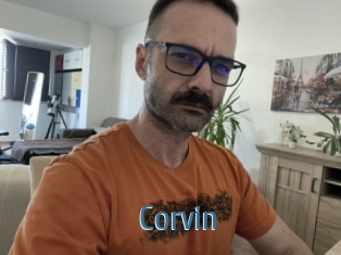 Corvin