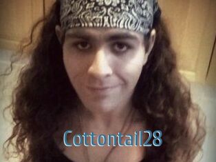 Cottontail28