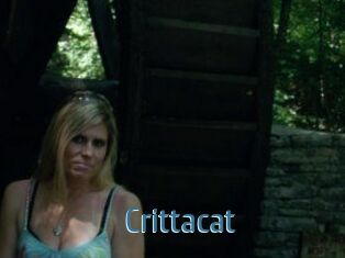 Crittacat