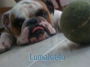 Cumalot4u