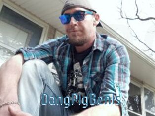 DangPigBenis