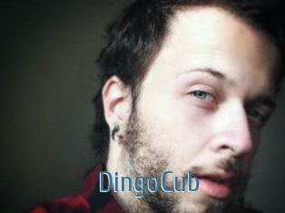 DingoCub