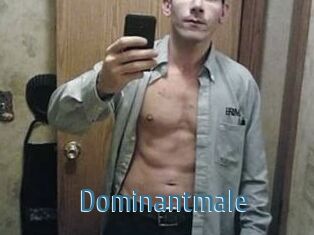 Dominantmale