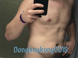 Dongkeykong0018