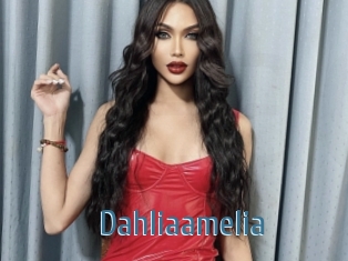 Dahliaamelia