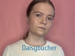 Daisybucher