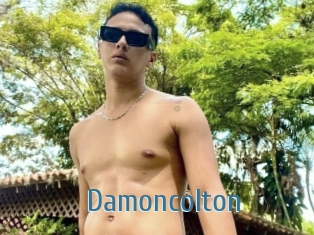 Damoncolton