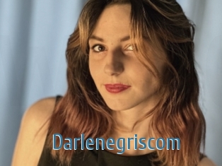 Darlenegriscom