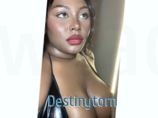 Destinytorn