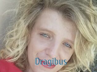 Dragibus