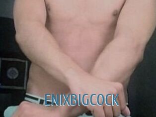 ENIXBIGCOCK