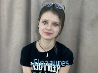 Elgaayres
