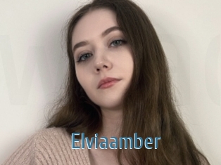 Elviaamber