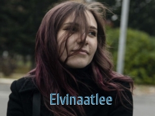 Elvinaatlee