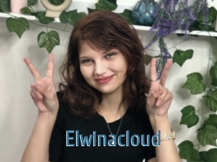 Elwinacloud