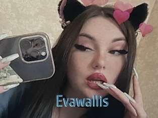 Evawallis