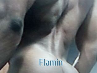 Flamin