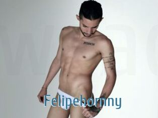 Felipehornny