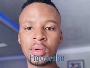 Figowethu