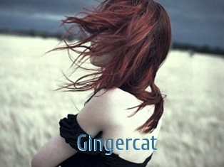 Gingercat
