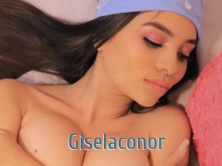 Giselaconor