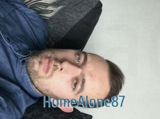 HomeAlone87