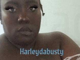 Harleydabusty